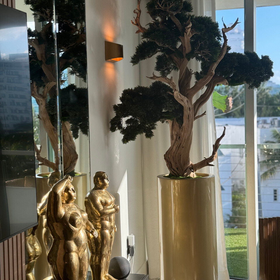 Bonsai in Saint Tropez Planter