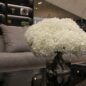 White Hydrangea Bouquet in clear glass cylinder vase