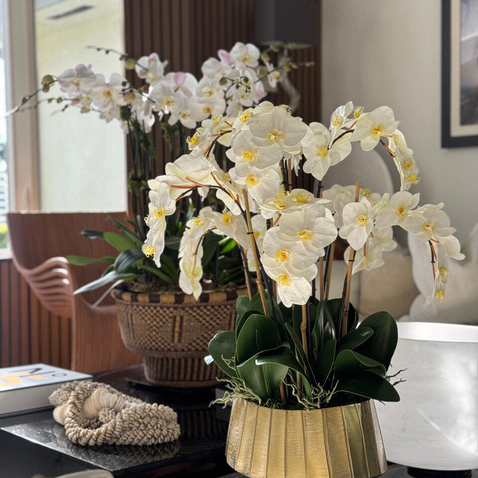 Helena Boat Planter with White Phaleanopsis Orchids