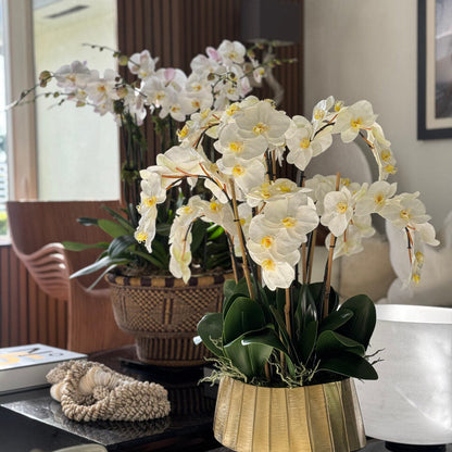 Helena Boat Planter with White Phaleanopsis Orchids