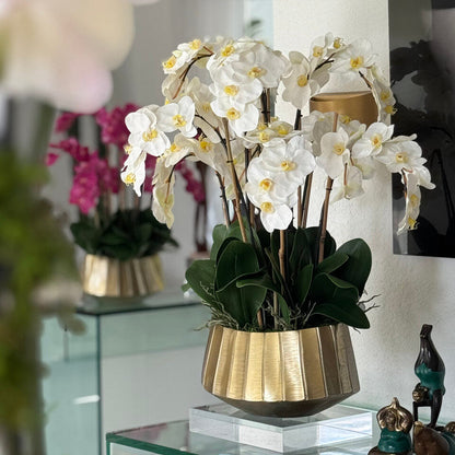 Helena Boat Planter with White Phaleanopsis Orchids