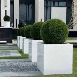 Large Block Fiberglass Planter with 20″ Topiary				
(1 in Stock)